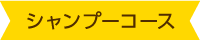 シャンプーコース