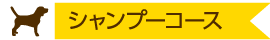 シャンプーコース