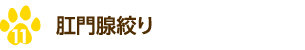 肛門腺絞り